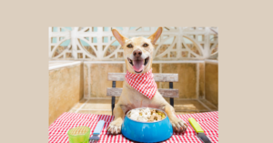 Read more about the article 7 Easy Ways to Add Veggies and Fruits to Your Dog’s Meal Plan