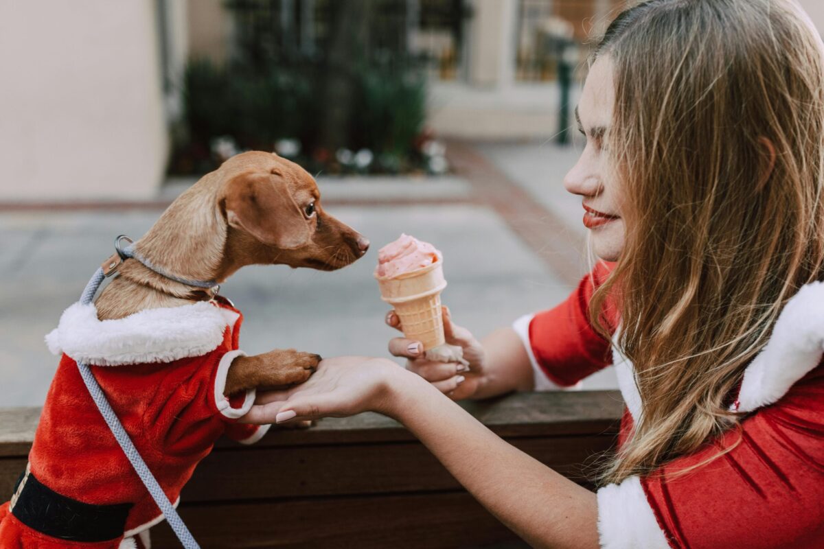 Can Dogs Eat Ice Cream? The Sweet and Cold Truth