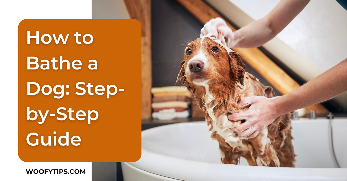 How to bathe a dog