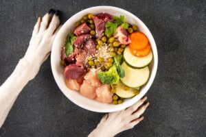 Read more about the article 7 Benefits of Raw Food Diet for Dogs