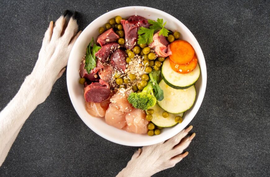 raw dog food
