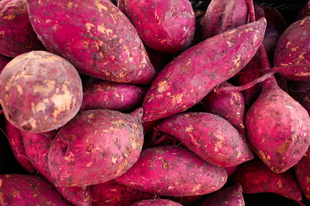 Close-up of fresh sweet potatoes showcasing vibrant color and texture.
